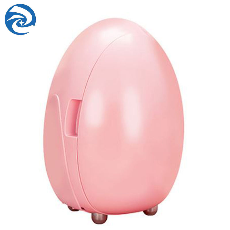 100V zu 240V Mini Fridge For Skincare Products 42W 10L